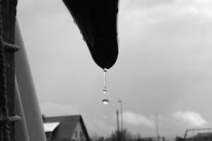 drops, black-and-white, contrast